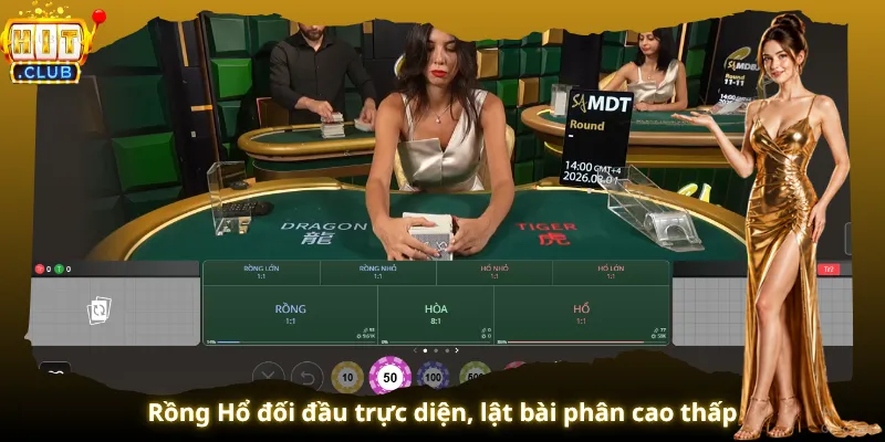 Rồng Hổ đối đầu trực diện, lật bài phân cao thấp